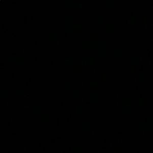 Meet your Posher, Ricky